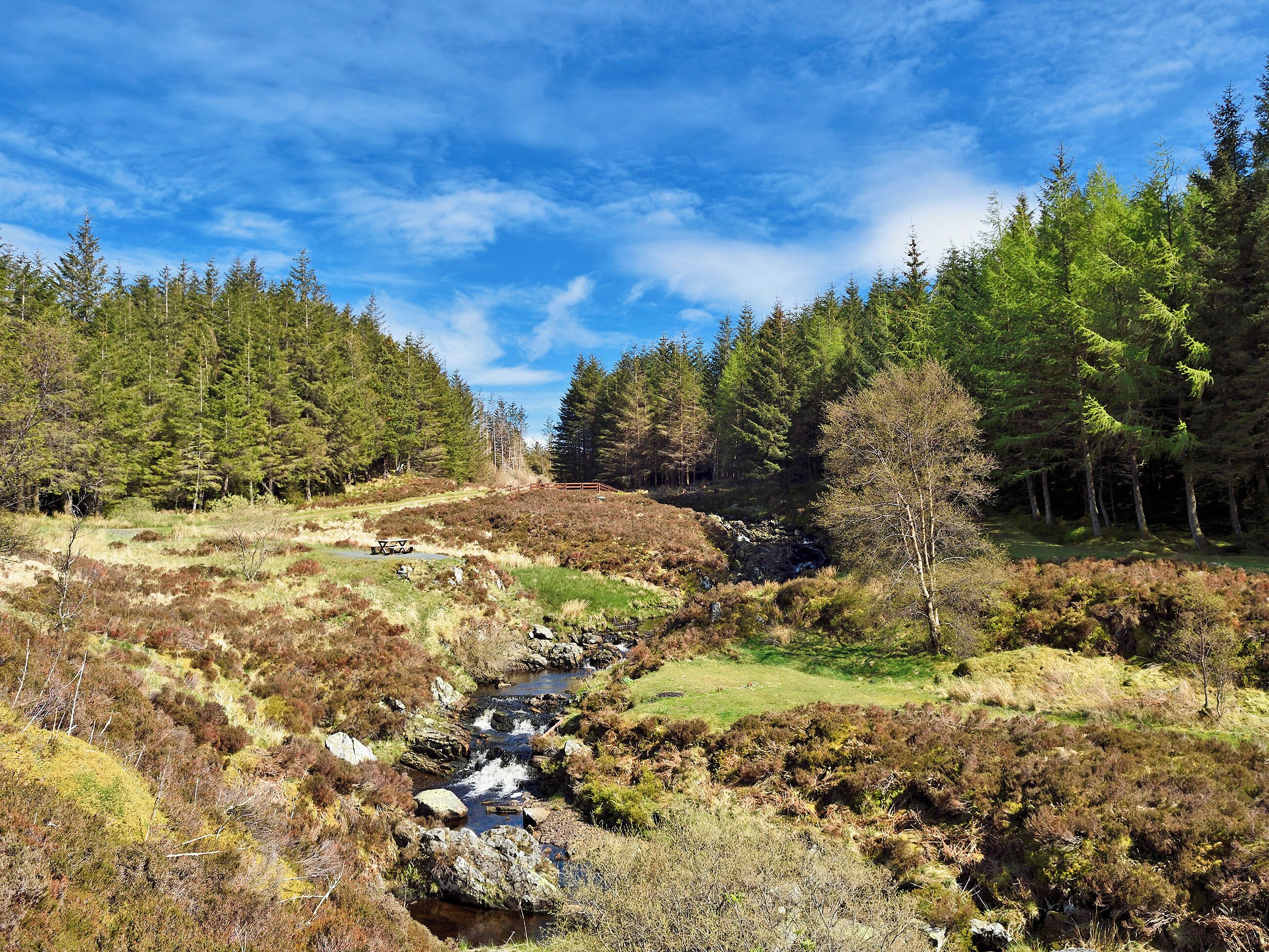 Galloway Forest Park