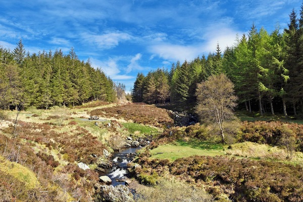 Galloway Forest Park