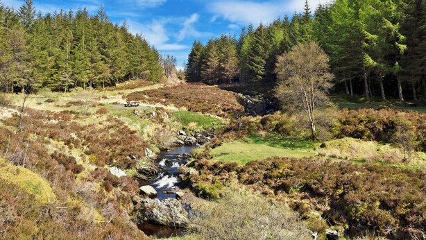 A natural landscape with a stream, dense forest, and a picnic table. - 1 bedroom accommodation in Lendalfoot, Girvan (Lendalfoot, Girvan)