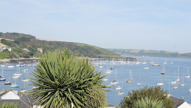 A coastal view with numerous sailboats anchored in the water, a hill with houses in the background, and a prominent green plant in the foreground. - 3 bedroom accommodation in Constantine, near Falmouth (Constantine, near Falmouth)