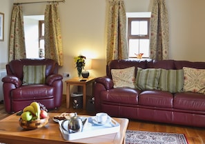 Televisión 