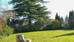 A grassy field with a large tree stump and dense foliage in the background. - 2 bedroom accommodation in Pentrich, near Ripley (Pentrich, near Ripley)