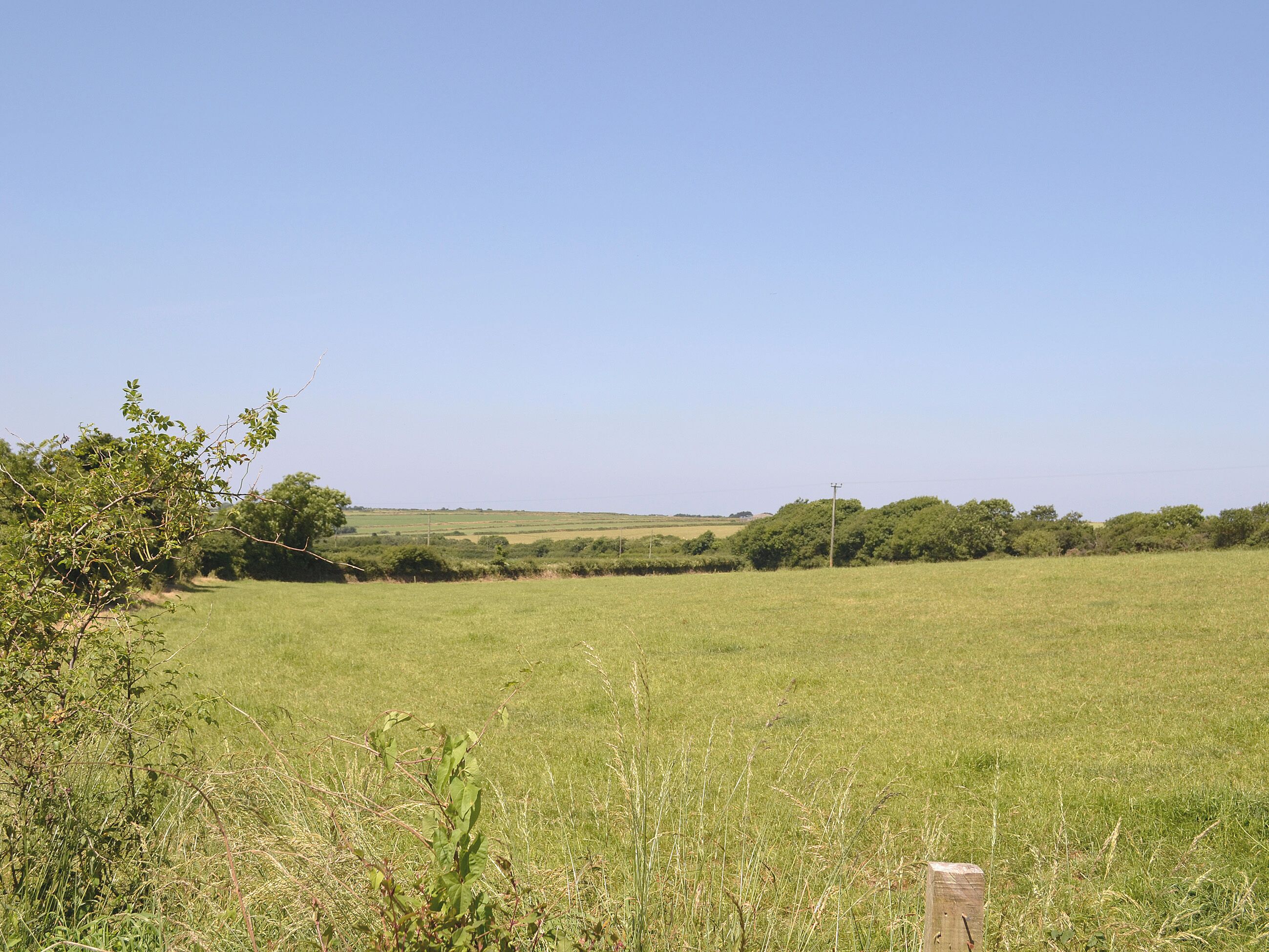 A wide-open field with a wooden post in the foreground, surrounded by grass and sparse trees.