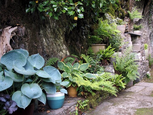 1 bedroom accommodation in Hen Goginan, near Aberystwyth