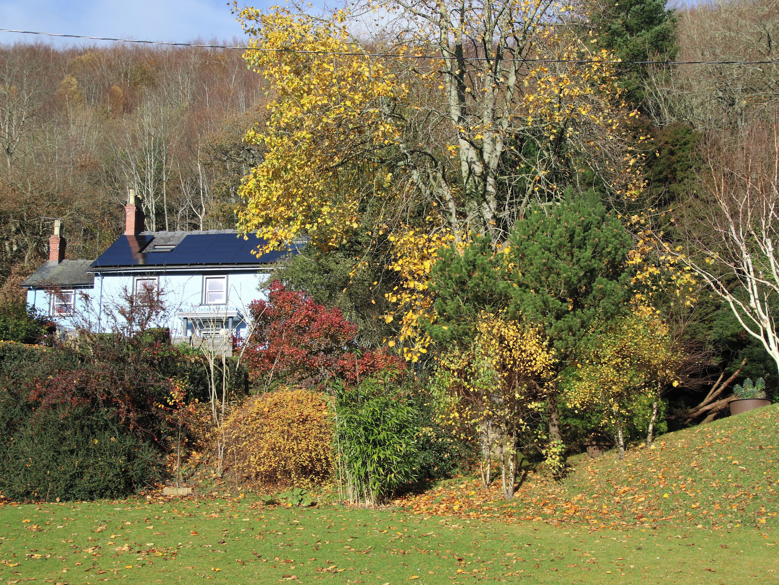 Jardines del alojamiento