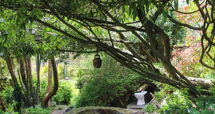 1 bedroom accommodation in Hen Goginan, near Aberystwyth