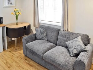TV, fireplace, DVD player