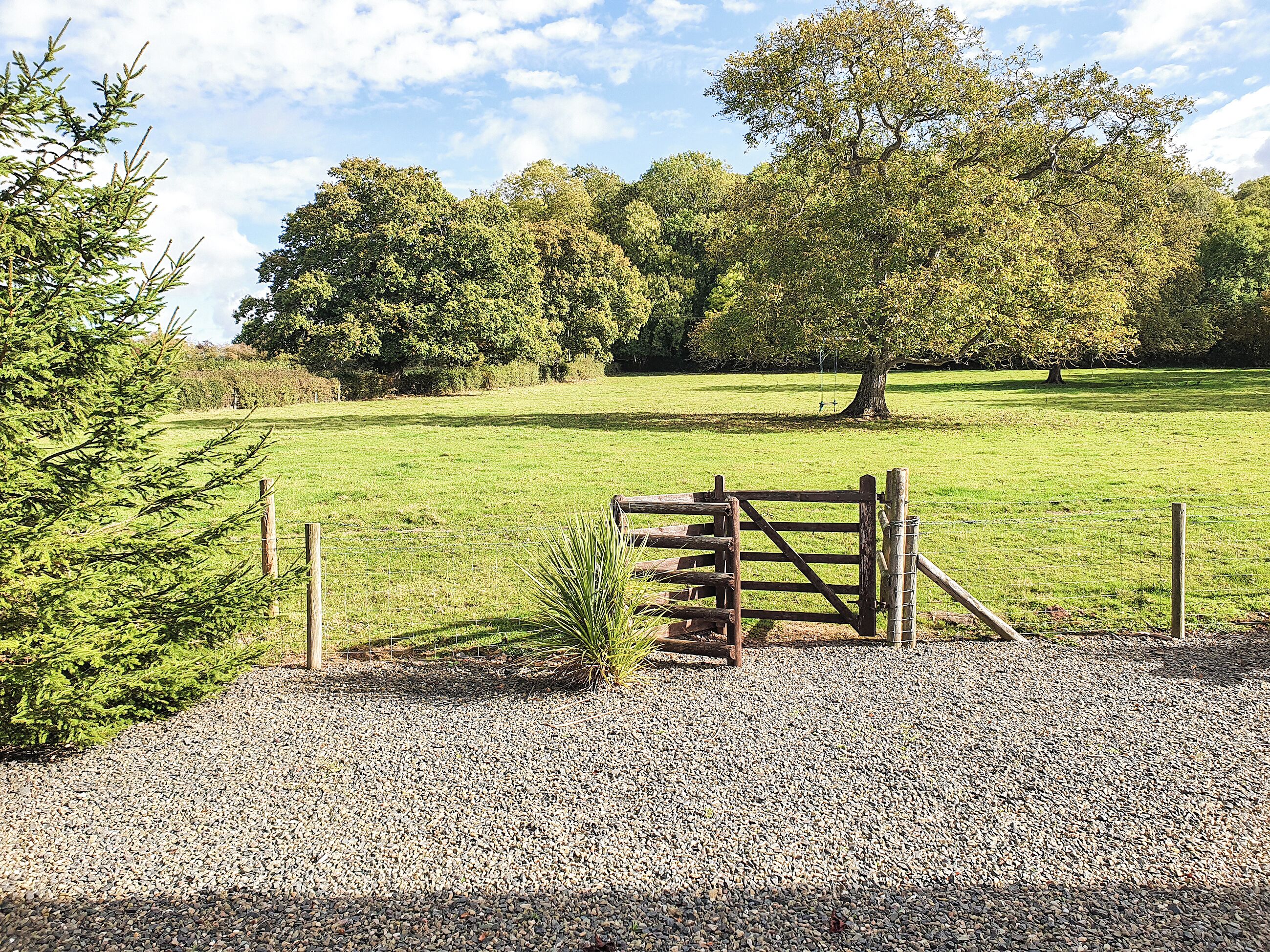 A gravel path leading to a wooden gate in a grassy field with trees in the background.