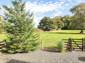 Uklassifisert bilde, 3 av 19, knapp