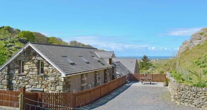 Ysgubor Uchaf - 29517