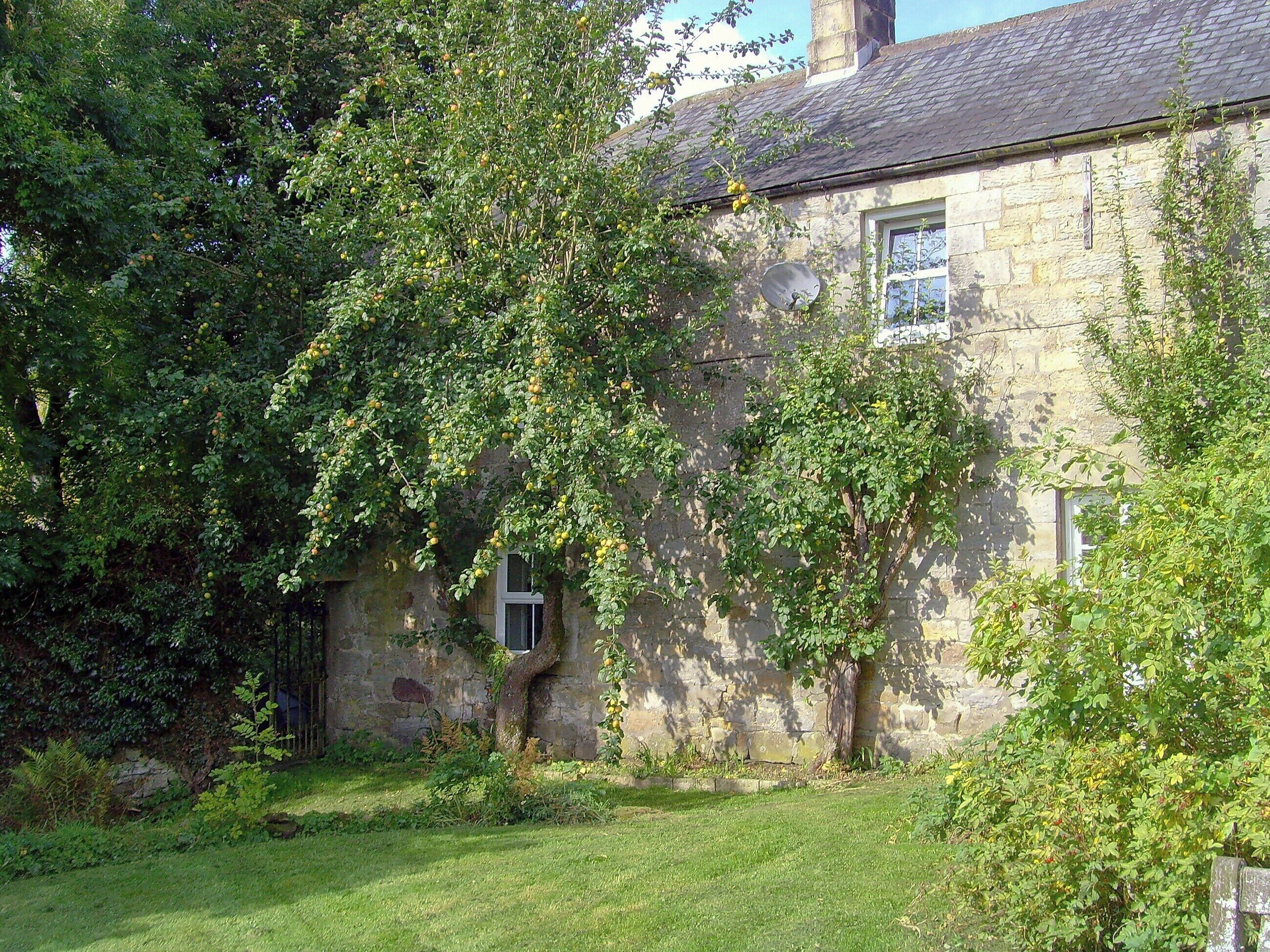 Un bâtiment en pierre dont les murs sont recouverts de lierre et qui est entouré d’une cour verdoyante.