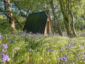 Een klein, rustiek houten gebouw met een schuin dak, omringd door een weelderige weide met wilde bloemen en bomen.
