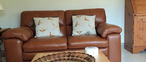 A brown leather sofa with two patterned pillows, a wooden coffee table with a decorative bowl, and a wooden cabinet in a living room.