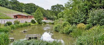 Cherrytree Cottage - 29937