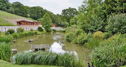 Cherrytree Cottage - 29937