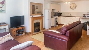 A living room with a sofa, a television, a fireplace, and a kitchen area with cabinets and appliances.