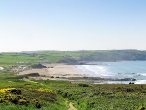 Un paysage côtier avec une plage de sable, des champs couverts d’herbe et un ciel dégagé.