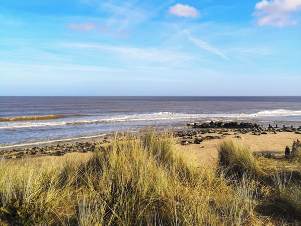 A beach with waves, a sandy shore, and tall grass in the foreground.