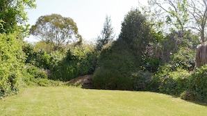 Un espacio al aire libre cubierto de hierba, con densa maleza y árboles al fondo.