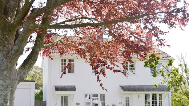Una casa blanca de dos pisos con un césped cuidado y un gran árbol con hojas rojas al frente.