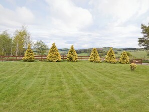 Área da propriedade