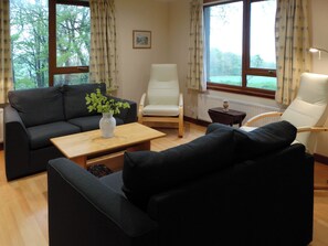 Fireplace, DVD player