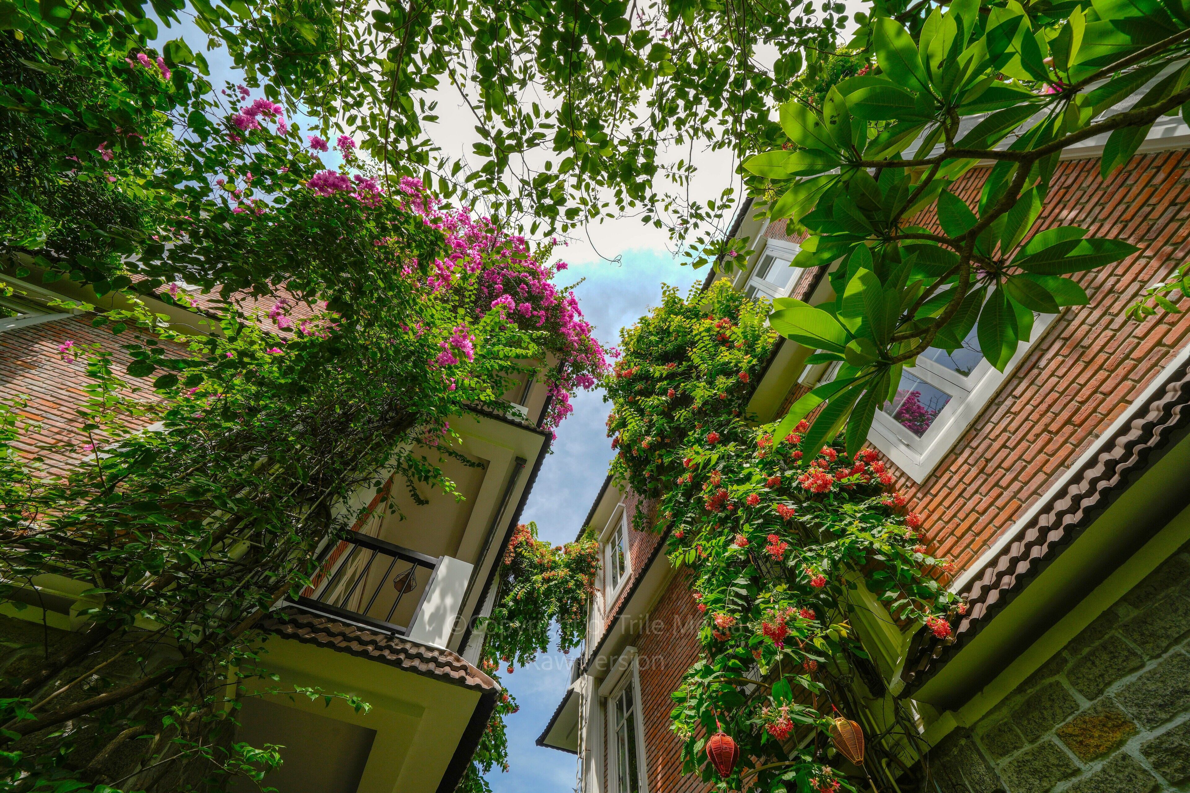 Foto - Ancient Garden Boutique Hoi An