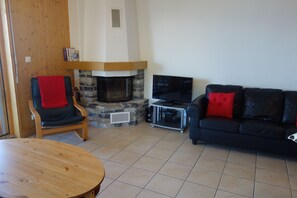 Télévision, cheminée, lecteur de DVD