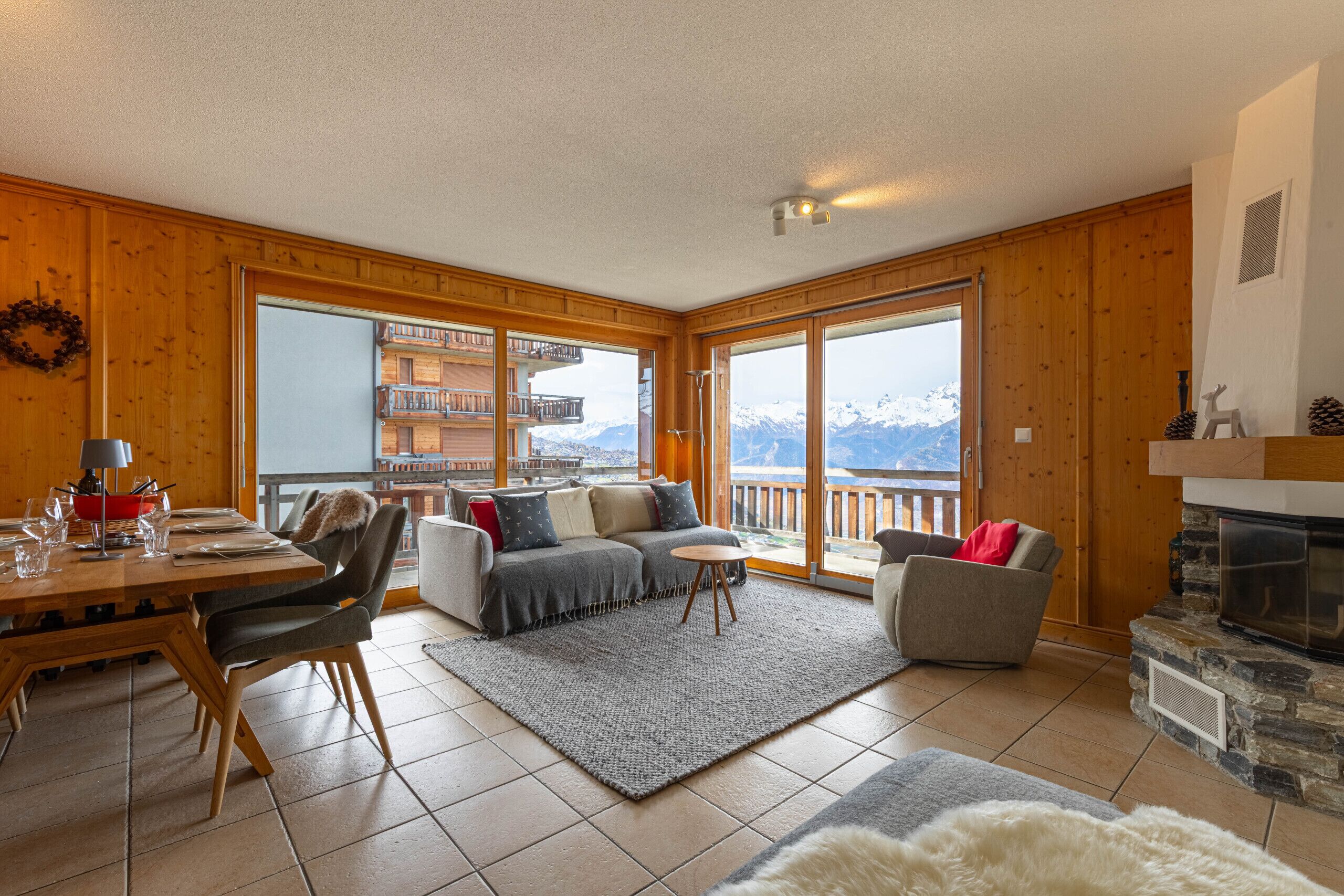 电视、壁炉、DVD 播放器