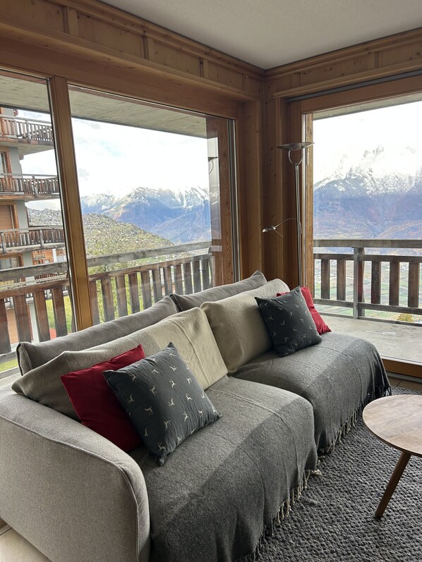 تلفزيون، مدفأة، مشغل دي في دي