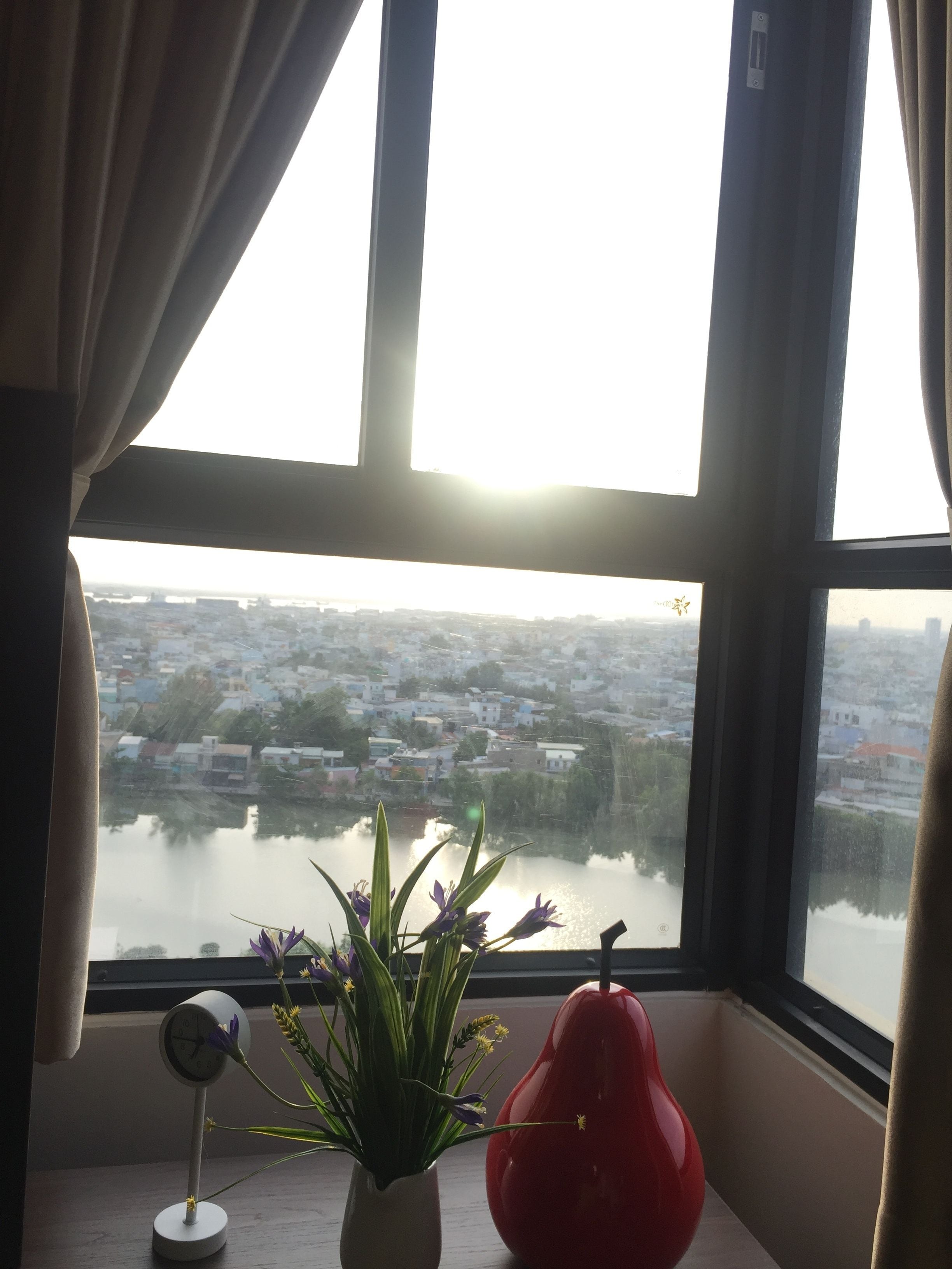 Vista desde la habitación