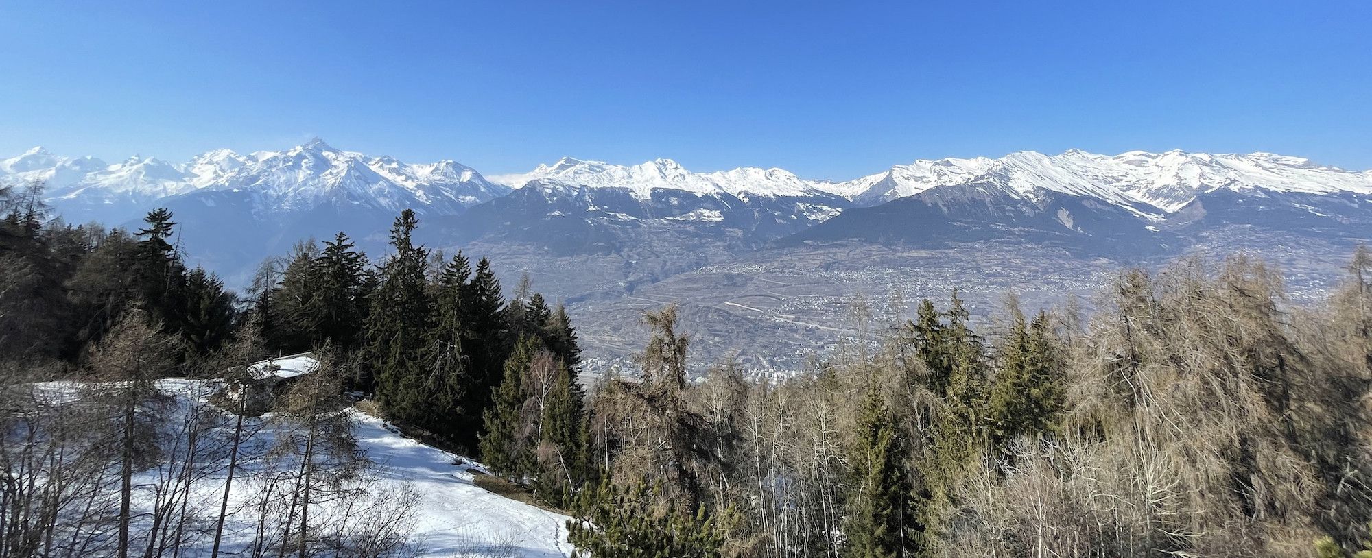 Un paisaje montañoso con picos nevados y un valle cubierto de bosque.
