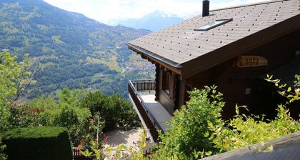 Eanta SUNNY & MOUNTAIN chalet 10 pers