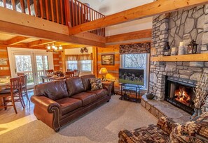 TV, fireplace, video games, DVD player