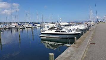 Dock