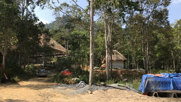 A rural setting with a dirt path leading to a thatched-roof house surrounded by trees.