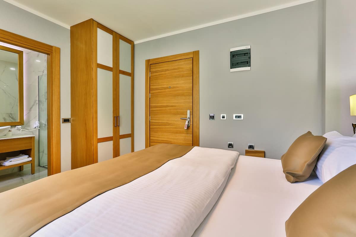 economy double room | 1 bedroom, minibar, in-room safe, desk