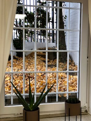 3 عدّة غرف نوم وألحفة محشوة بالريش وطراز فريد لكل وحدة ومكتب