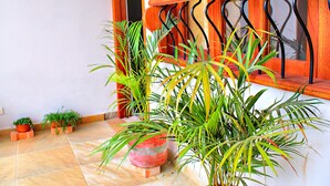 Garden - Hotel Villa Palmas (Villa de Leyva)