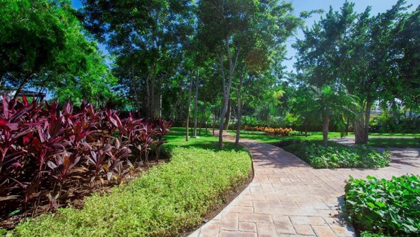 Garden - Olivos 3 (Playa del Carmen)