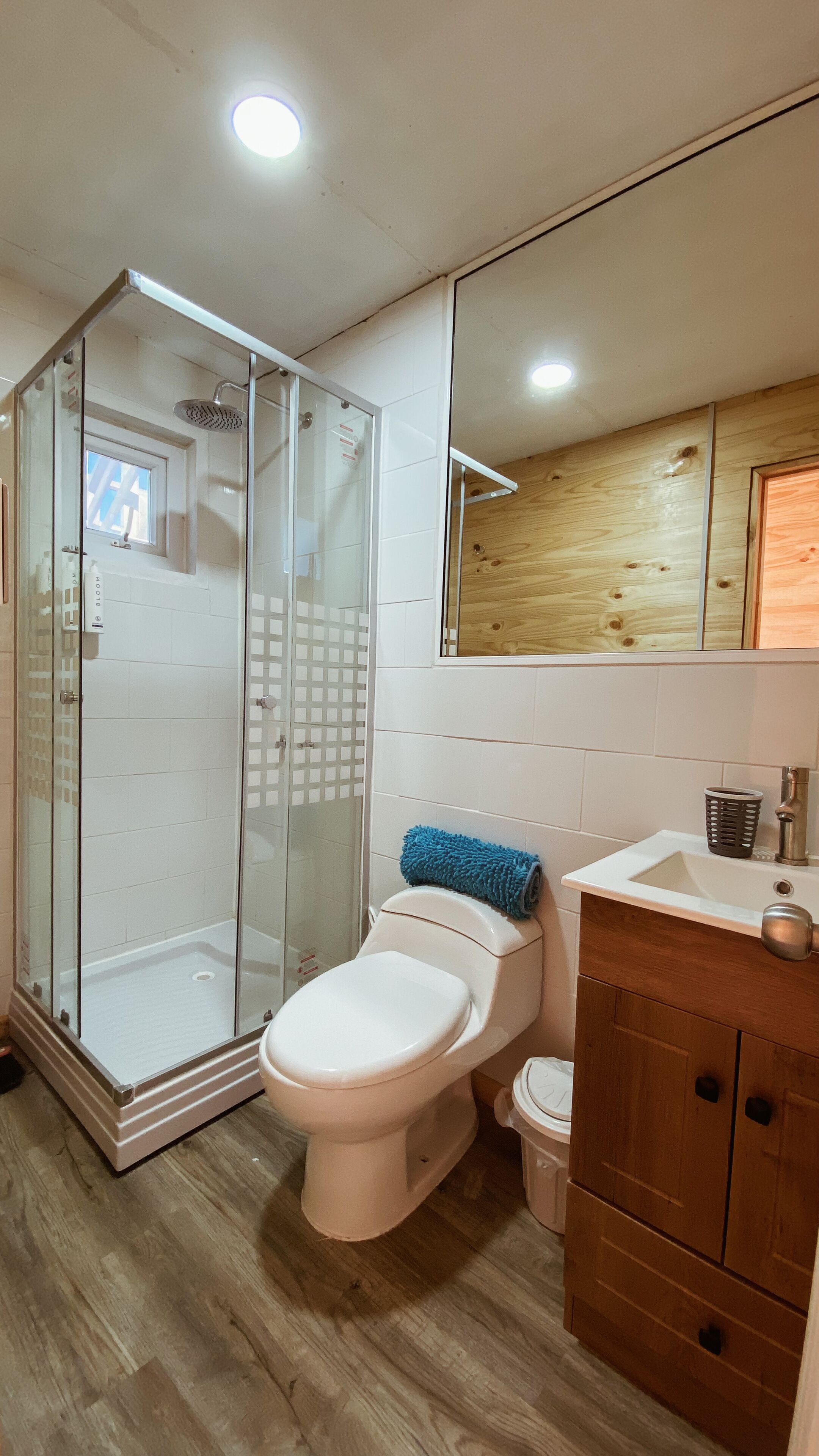 A bathroom with a glass shower enclosure, a toilet, a sink, and wooden cabinets.