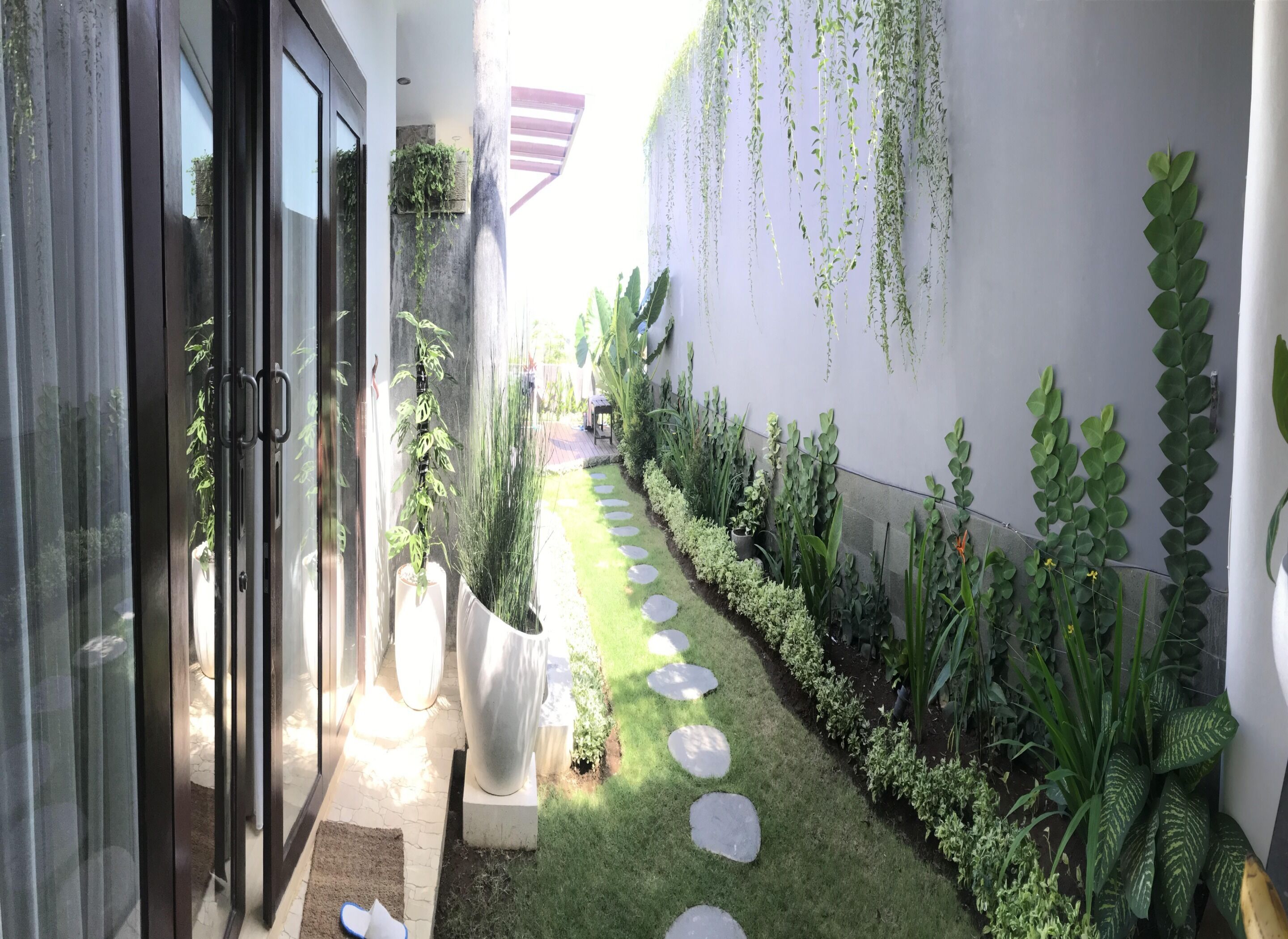 Um caminho estreito e bem cuidado, com pedras para pisar, leva a um jardim exuberante, ladeado por diversas plantas e uma parede com folhagem pendente.