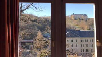 Habitación doble estándar | Vista desde la propiedad