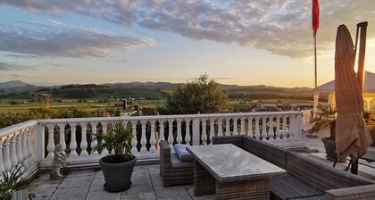 Comfortable mountain view apartment near Lucerne