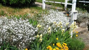 House | Garden - White Salmon Big Yellow House PLUS Holiday home 4 BestStayz.1 (White Salmon)