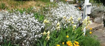 White Salmon Big Yellow House PLUS Holiday home 4 BestStayz.1