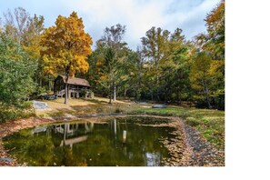 House | Property grounds