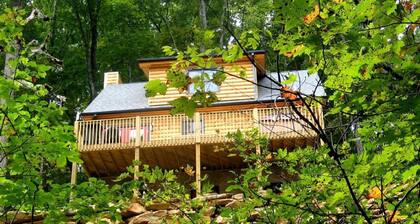 Black "Beary" Cabin Holiday home 3 BestStayz.1