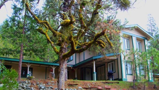 Unclassified image, 1 of 18, button - Creekside Condo at the Kelly Lodge Holiday home 2 BestStayz.1 (Wolf Creek)
