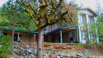 House | Property grounds